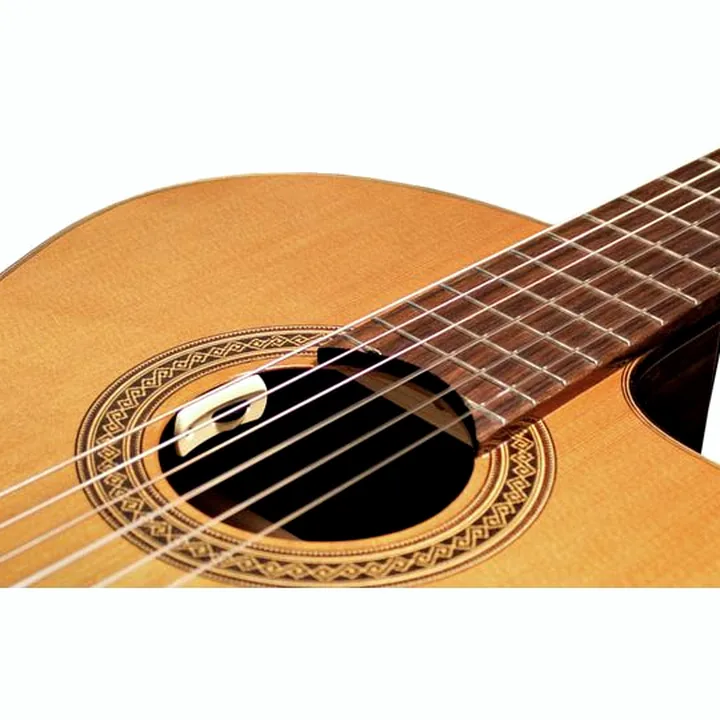 Test & Avis : L.R.Baggs Anthem Classical
