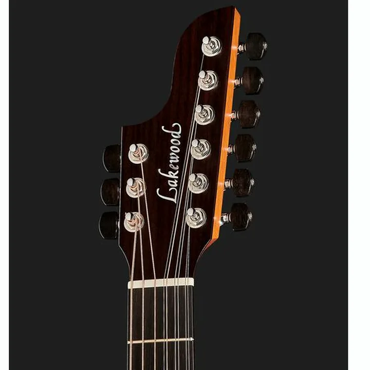 Test & Avis : Lakewood D-31 Custom 9-String