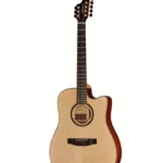 Test & Avis : Lakewood D-31 Custom 9-String