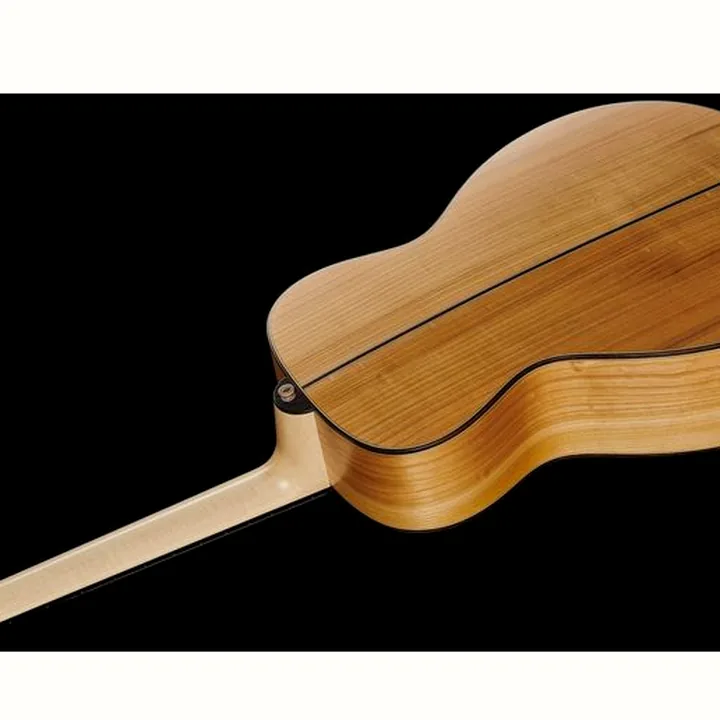 Test, Avis : Lakewood M-38 European Wood