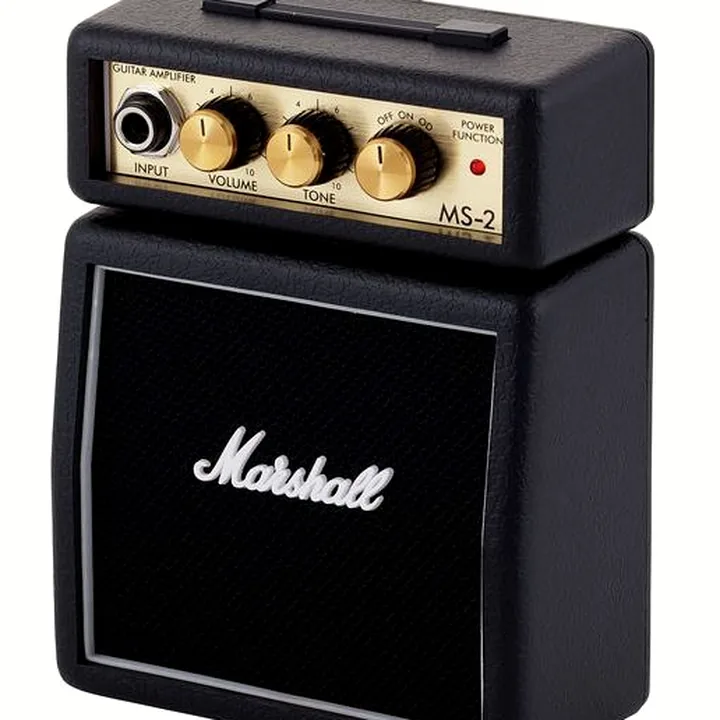 Test & Avis : Marshall MS-2