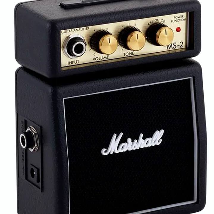 Test & Avis : Marshall MS-2