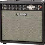 Test & Avis Mesa Boogie Recto-Verb 25 1×12 Combo