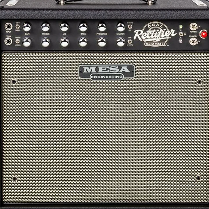 Test & Avis Mesa Boogie Recto-Verb 25 1×12 Combo