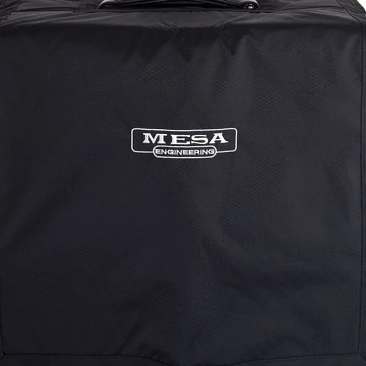 Test & Avis Mesa Boogie Recto-Verb 25 1×12 Combo