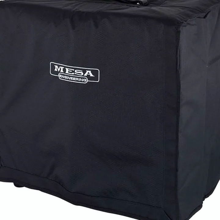 Test & Avis Mesa Boogie Recto-Verb 25 1×12 Combo