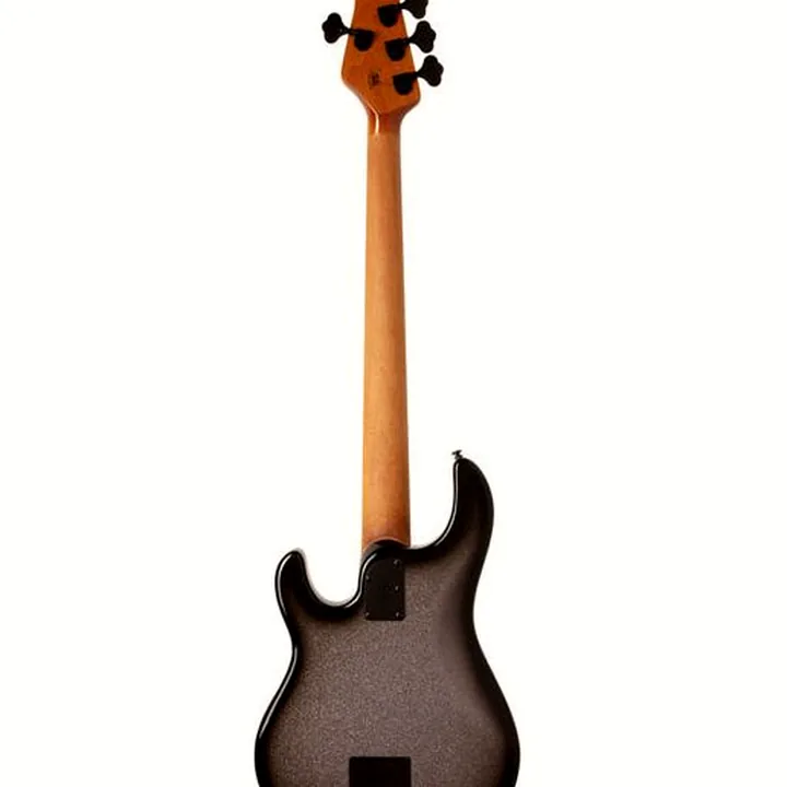 Test & Avis : Music Man Stingray 5 Sp H Smoked CH