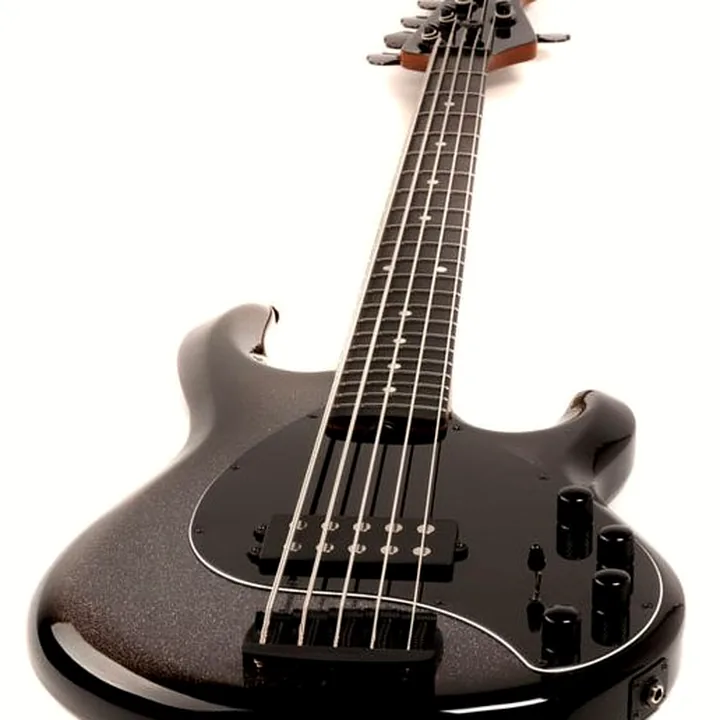 Test & Avis : Music Man Stingray 5 Sp H Smoked CH