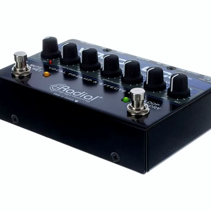 Test & Avis : Radial Engineering Vocoloco