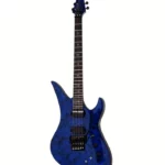 Test & Avis Schecter Apocalypse Avenger FR S BR