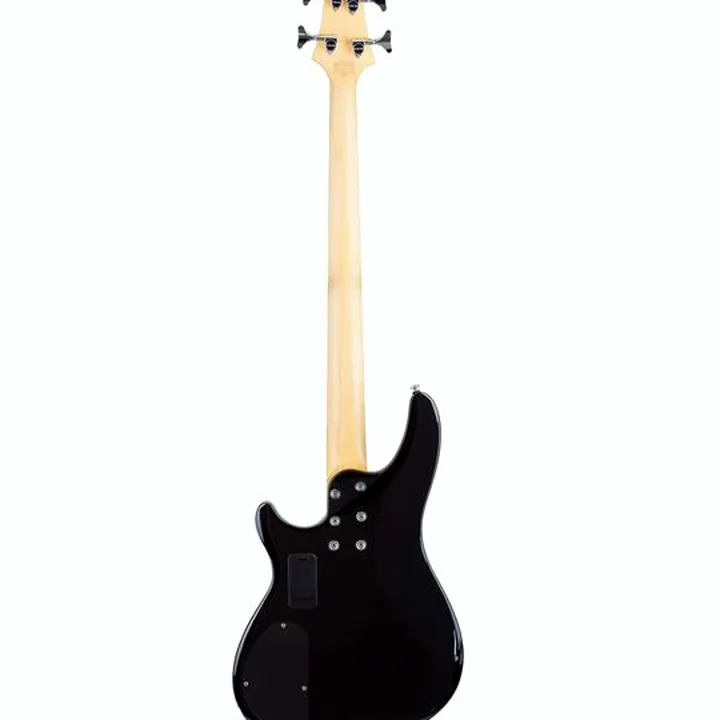 Test & Avis : Schecter C-4 Plus See-Thru Cherry Burst