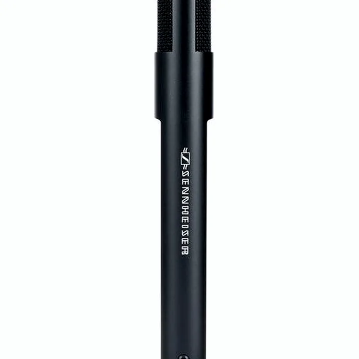 Test & Avis : Sennheiser MKH 30 P48