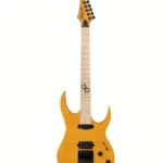 Test, Avis Solar Guitars SB1.6FA-Flame Amber Matte