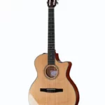 Test, Avis : Taylor 314ce-N