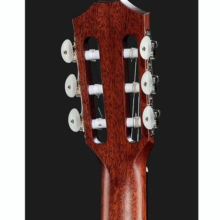 Test, Avis : Taylor 314ce-N
