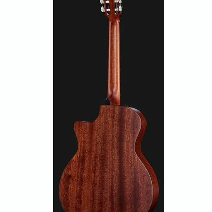 Test, Avis : Taylor 314ce-N