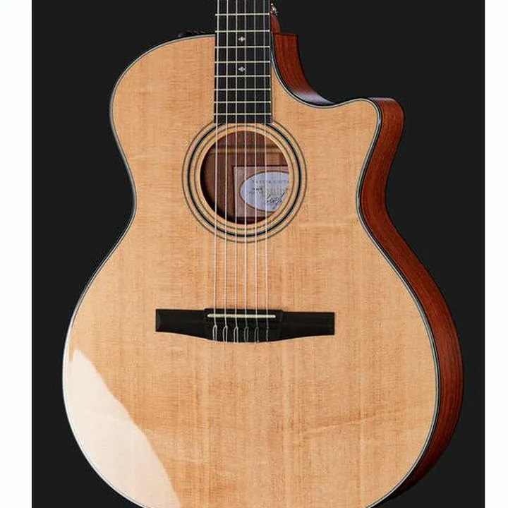Test, Avis : Taylor 314ce-N