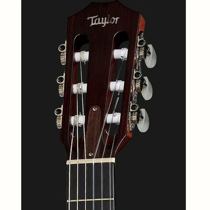 Test, Avis : Taylor 314ce-N