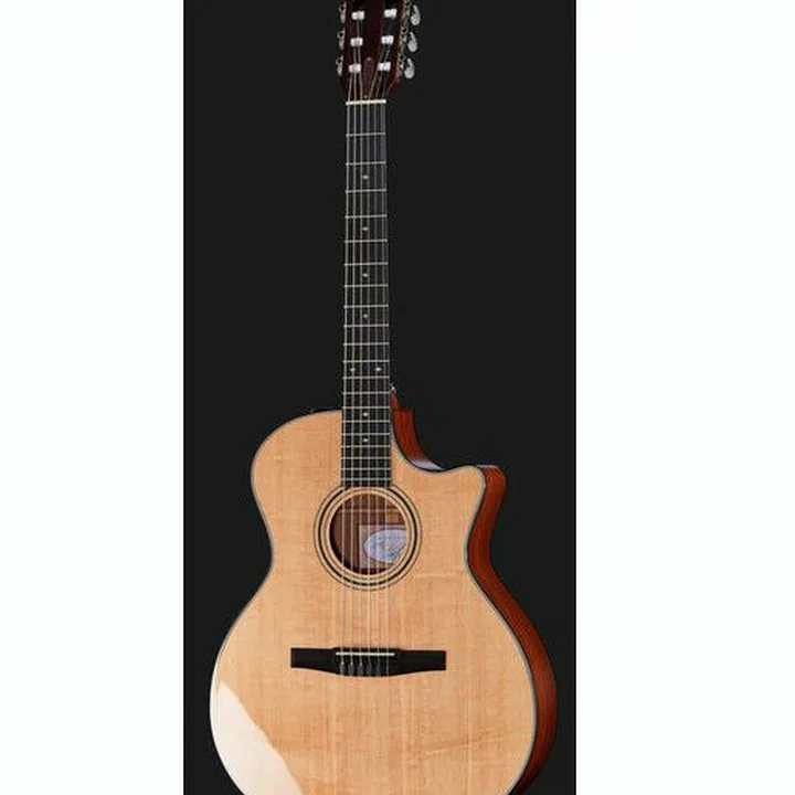 Test, Avis : Taylor 314ce-N