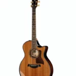 Test, Avis Taylor 814ce Builder’s Ed Ltd 50th