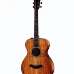 Test, Avis : Taylor Custom #40: C22e 12-Fret B5040