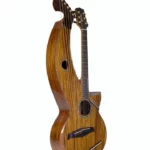 Test & Avis : Timberline Guitars T80/20HGC 20String Harpguitar