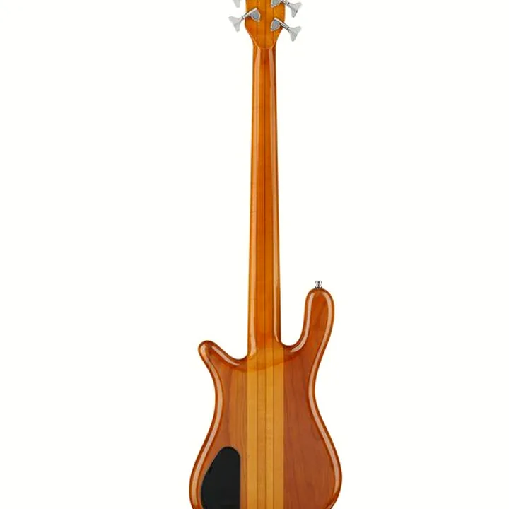Test & Avis : Warwick WGPS Streamer S I 5 Showroom