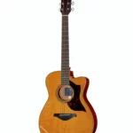 Test & Avis : Yamaha AC3M ARE VN