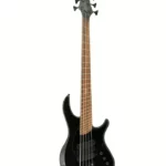 Test et Avis Basse électrique Dingwall John Taylor Sign. 5 Stealth BK