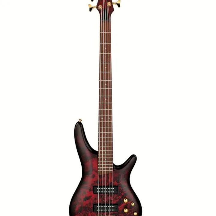 Test et Avis Basse électrique Ibanez SR305EDX-WZM