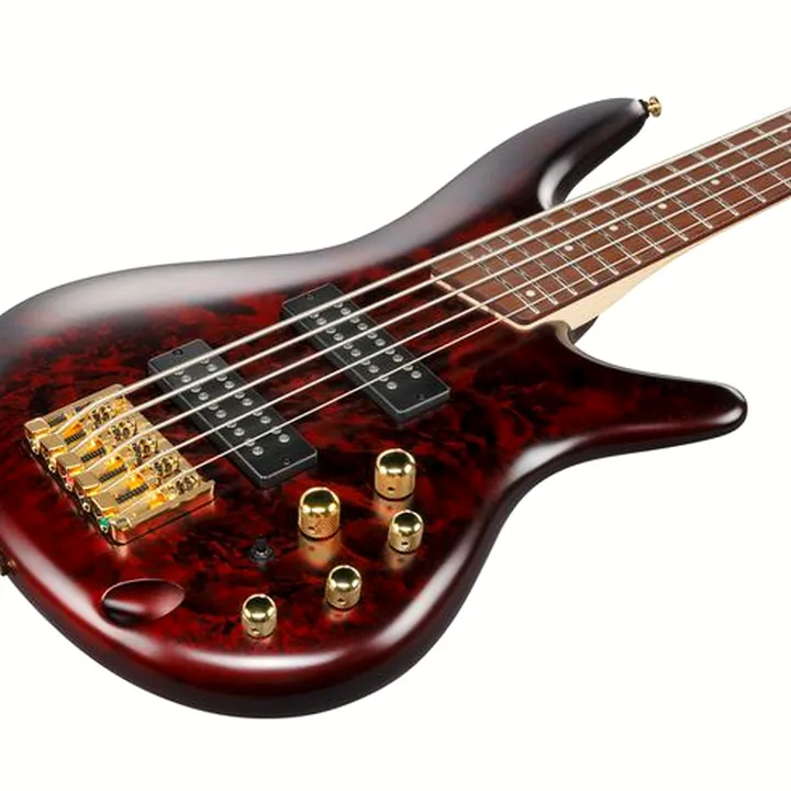 Test et Avis Basse électrique Ibanez SR305EDX-WZM