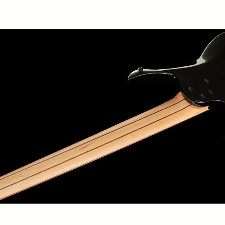 Test et Avis Basse Hils HNB5 Sunburst