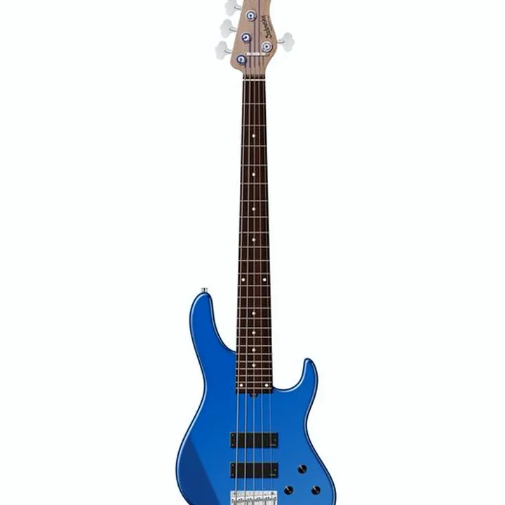 Test et Avis Basse Sadowsky MetroExp24 Mod 5 Morado OBL