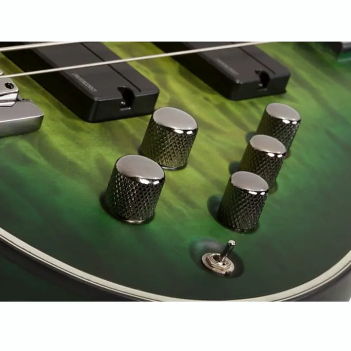 Test et Avis Basse Schecter Daniel Firth Hellraiser Ext. 5