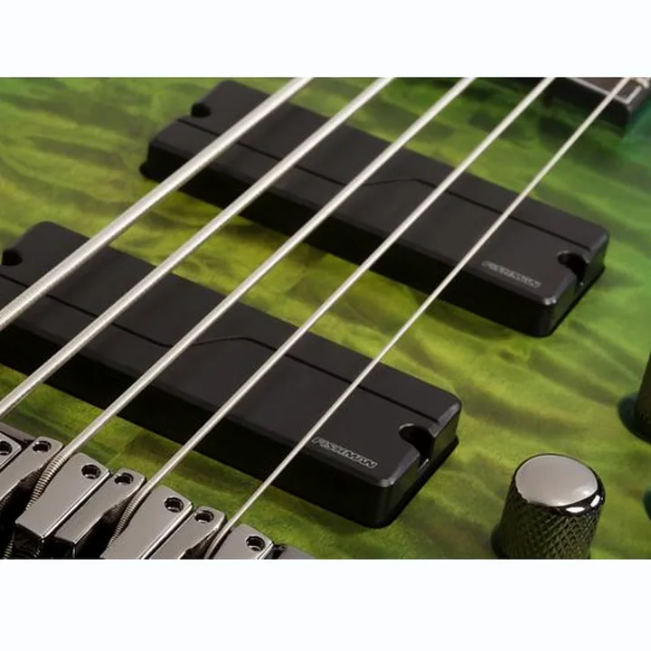 Test et Avis Basse Schecter Daniel Firth Hellraiser Ext. 5