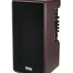 Test et Avis combo guitare électrique Laney A-Duo