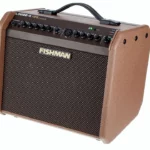 Test et Avis combo guitare Fishman Loudbox Mini Charge