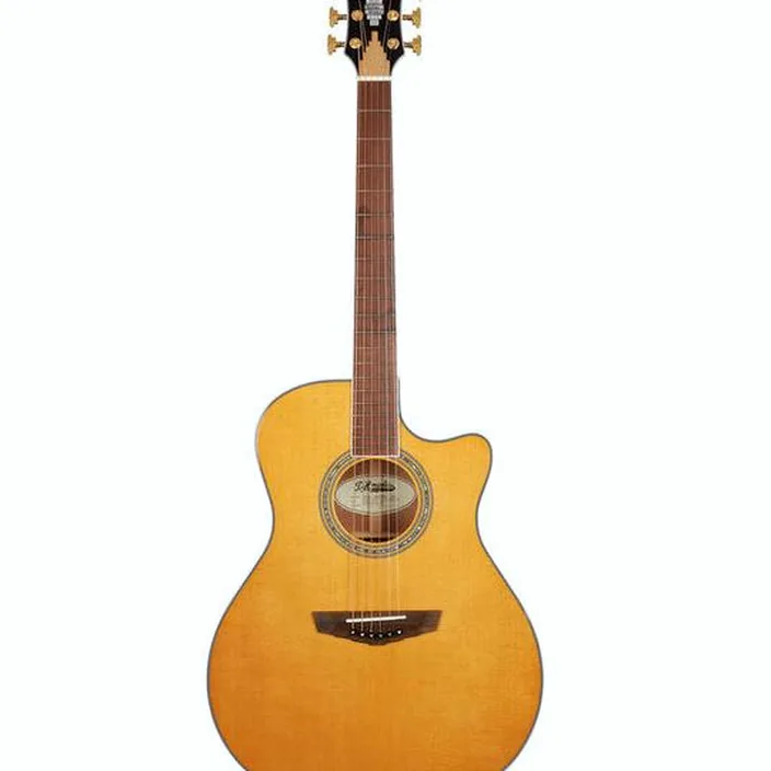 Guitare Acoustique DAngelico Excel Gramercy XT Vintage Nat