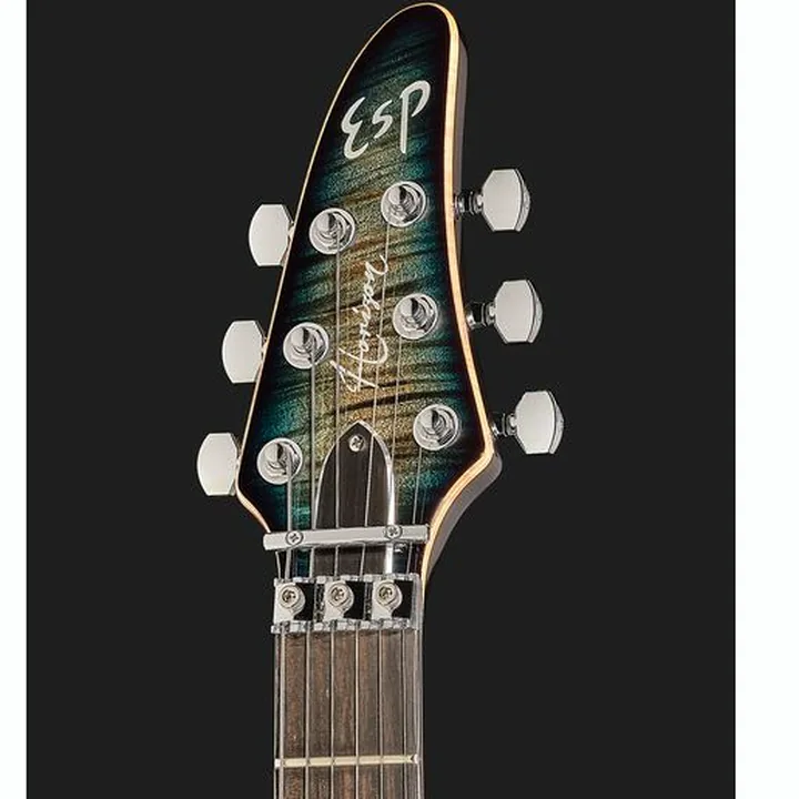 Test et Avis de la guitare électrique ESP Horizon FR CTM BM Reptile Blue