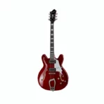 Test et Avis de la guitare électrique Hagstrom Super Viking WCT