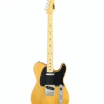 Test et Avis de la guitare FGN Neo Classic TE100 SH NT