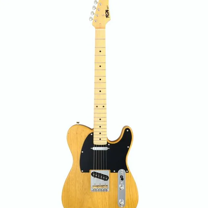Test et Avis de la guitare FGN Neo Classic TE100 SH NT