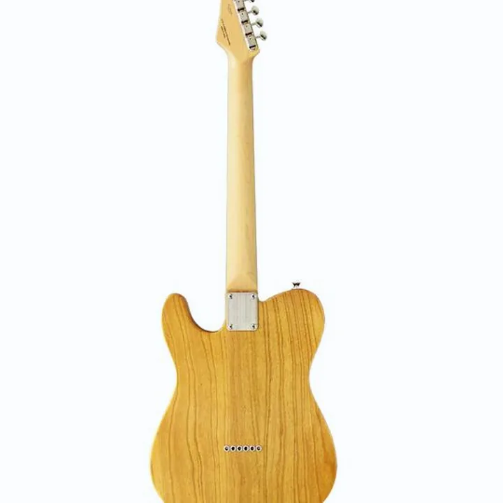 Test et Avis de la guitare FGN Neo Classic TE100 SH NT