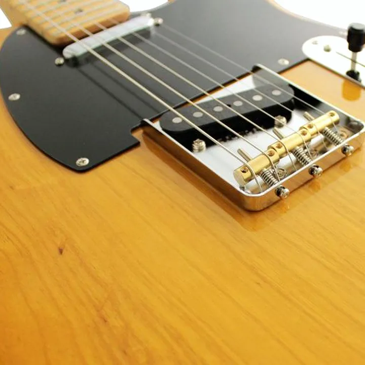 Test et Avis de la guitare FGN Neo Classic TE100 SH NT