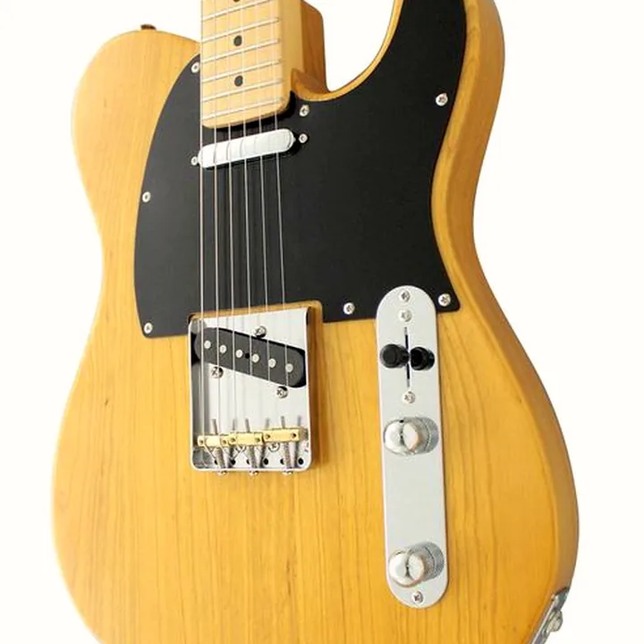 Test et Avis de la guitare FGN Neo Classic TE100 SH NT