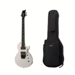 Test et Avis de la guitare Kramer Guitars Assault 220 FR AW w/Bag