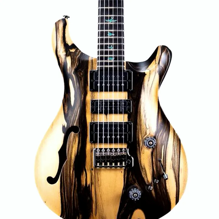 Guitare PRS Special 22 SH Private Stock