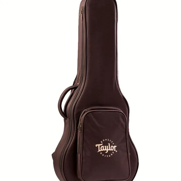 Test et Avis de la guitare Taylor American Dream AD22e SEB