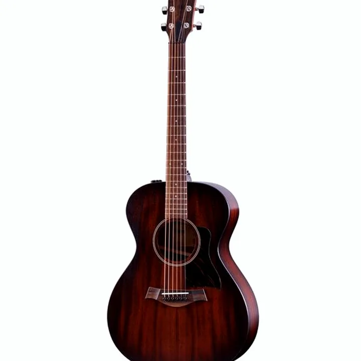 Guitare Taylor American Dream AD22e SEB