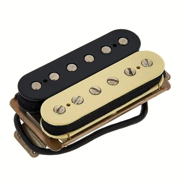 Test et Avis : Fender Shawbucker 2 Pickup Zebra